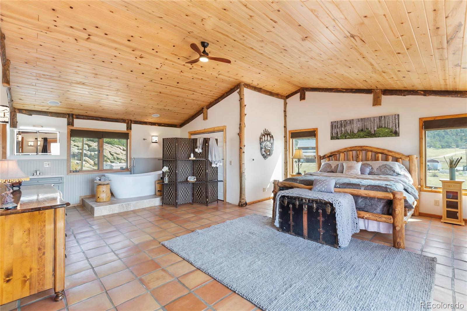 MLS Image #27 for 790  tiara road,lake george, Colorado