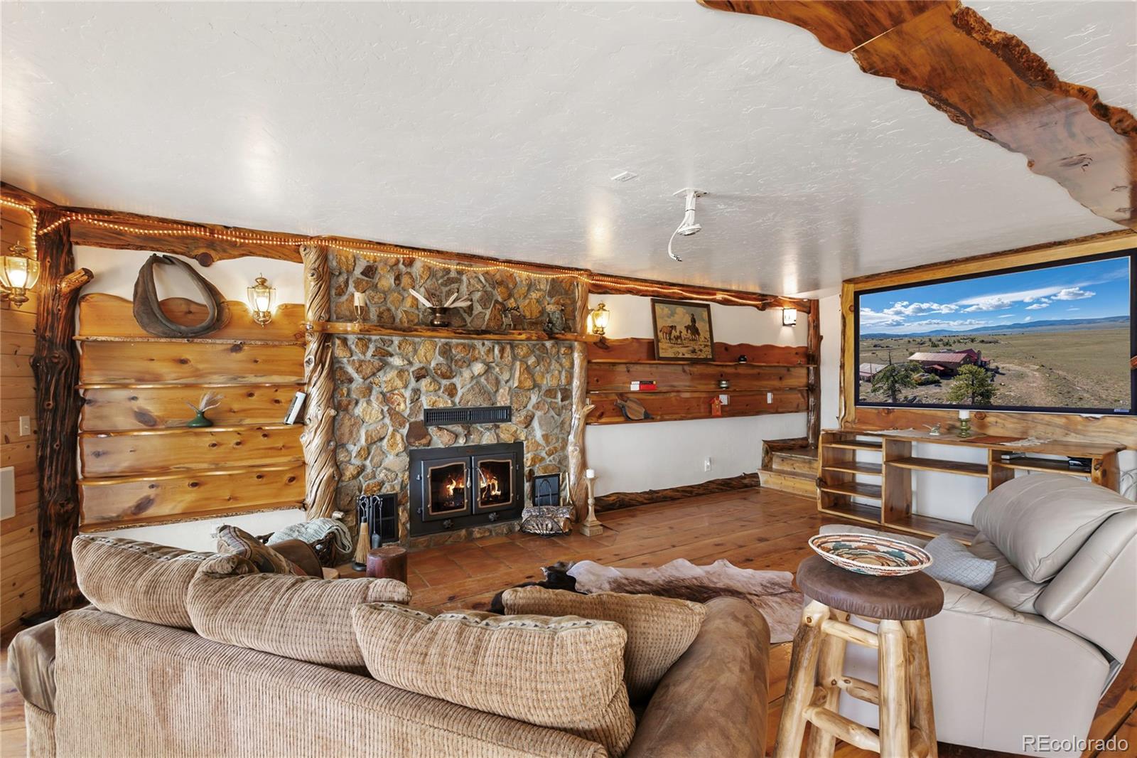 MLS Image #40 for 790  tiara road,lake george, Colorado