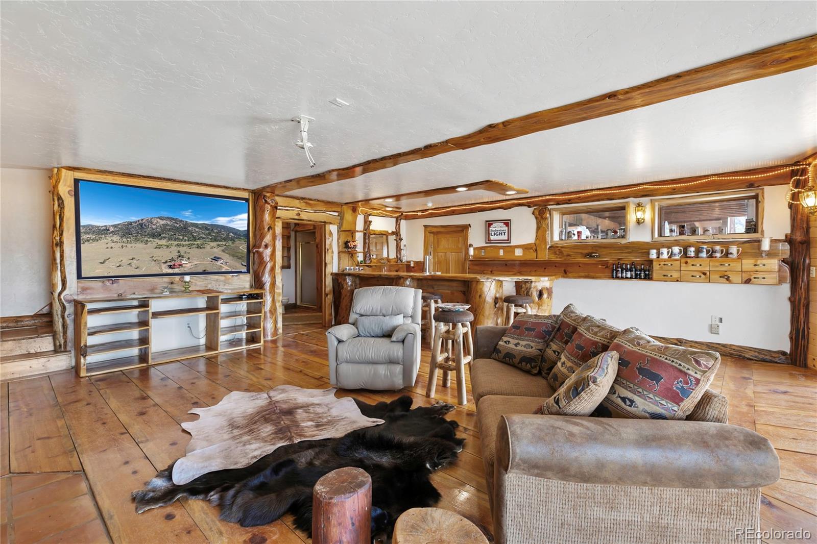 MLS Image #42 for 790  tiara road,lake george, Colorado