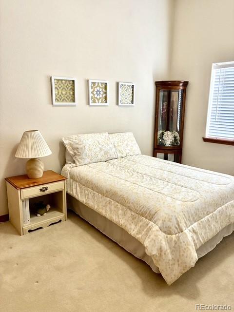 MLS Image #21 for 5431  wells fargo drive,colorado springs, Colorado