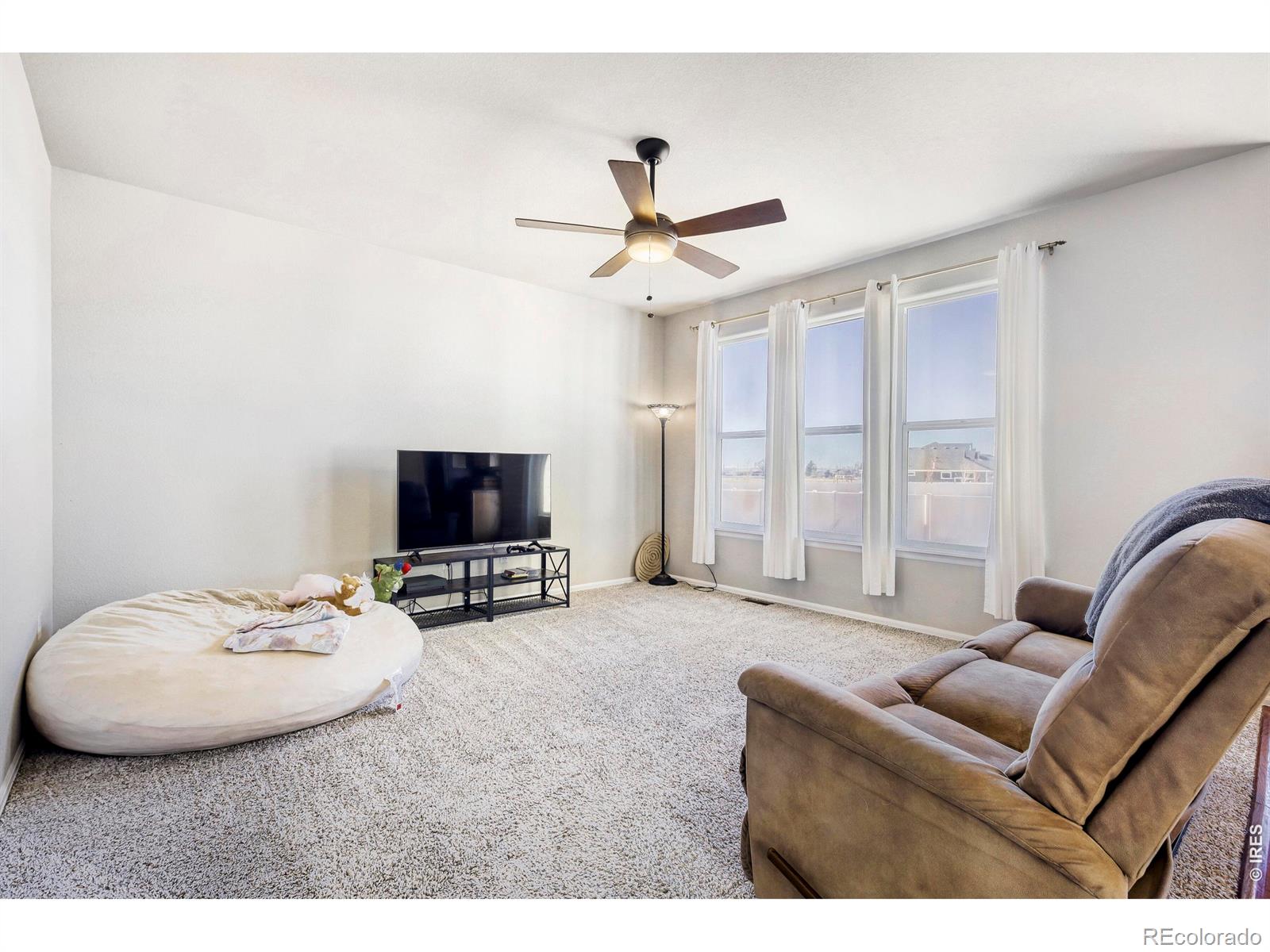 MLS Image #10 for 368  littlebrook court,windsor, Colorado