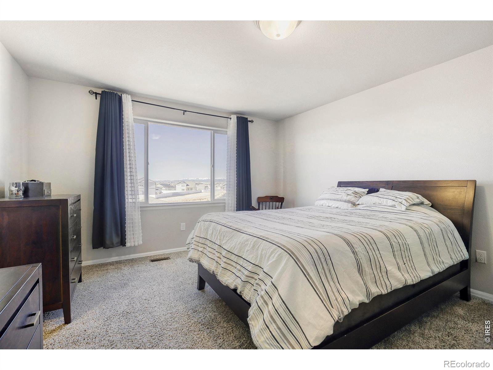 MLS Image #14 for 368  littlebrook court,windsor, Colorado