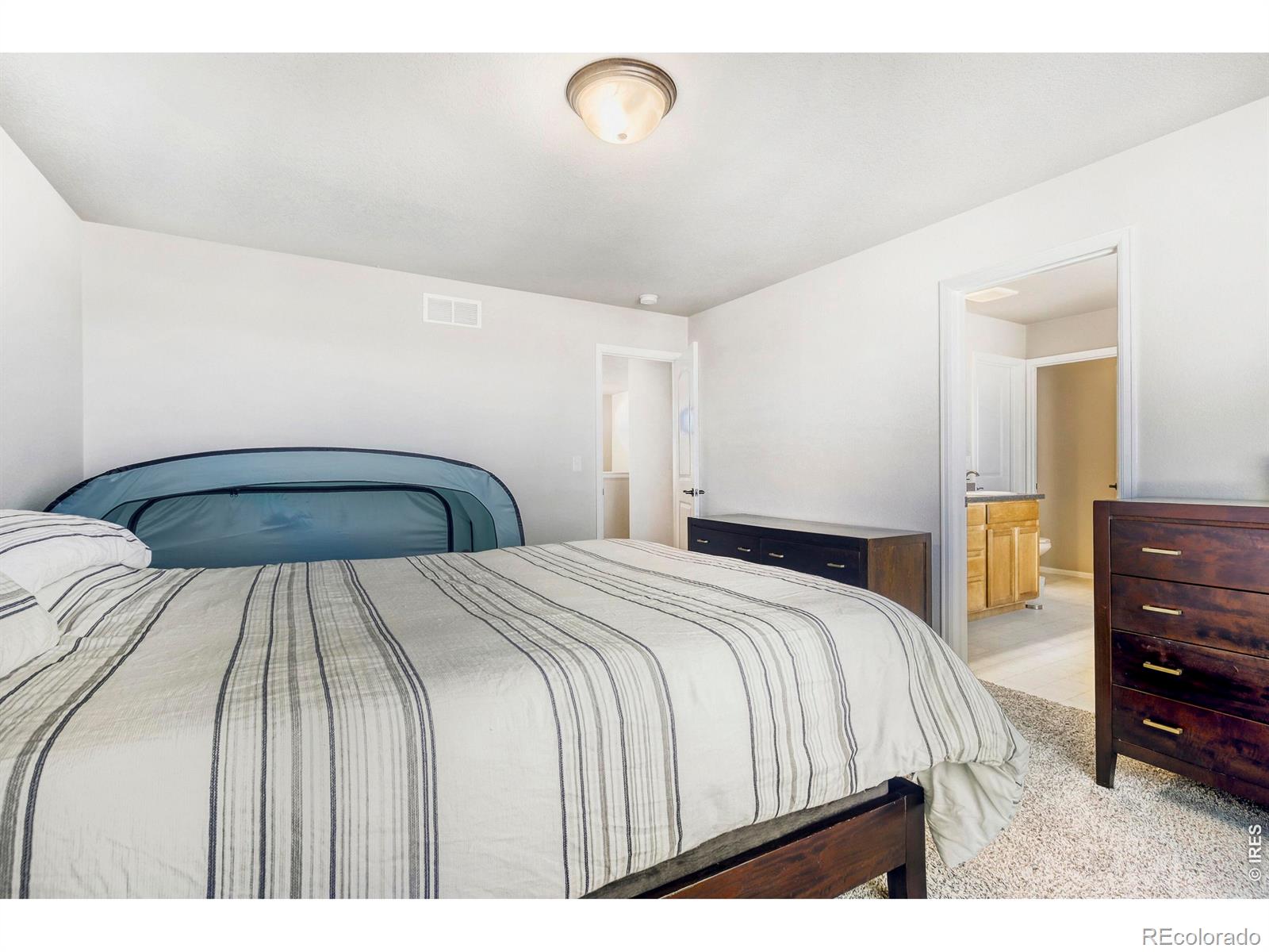 MLS Image #15 for 368  littlebrook court,windsor, Colorado