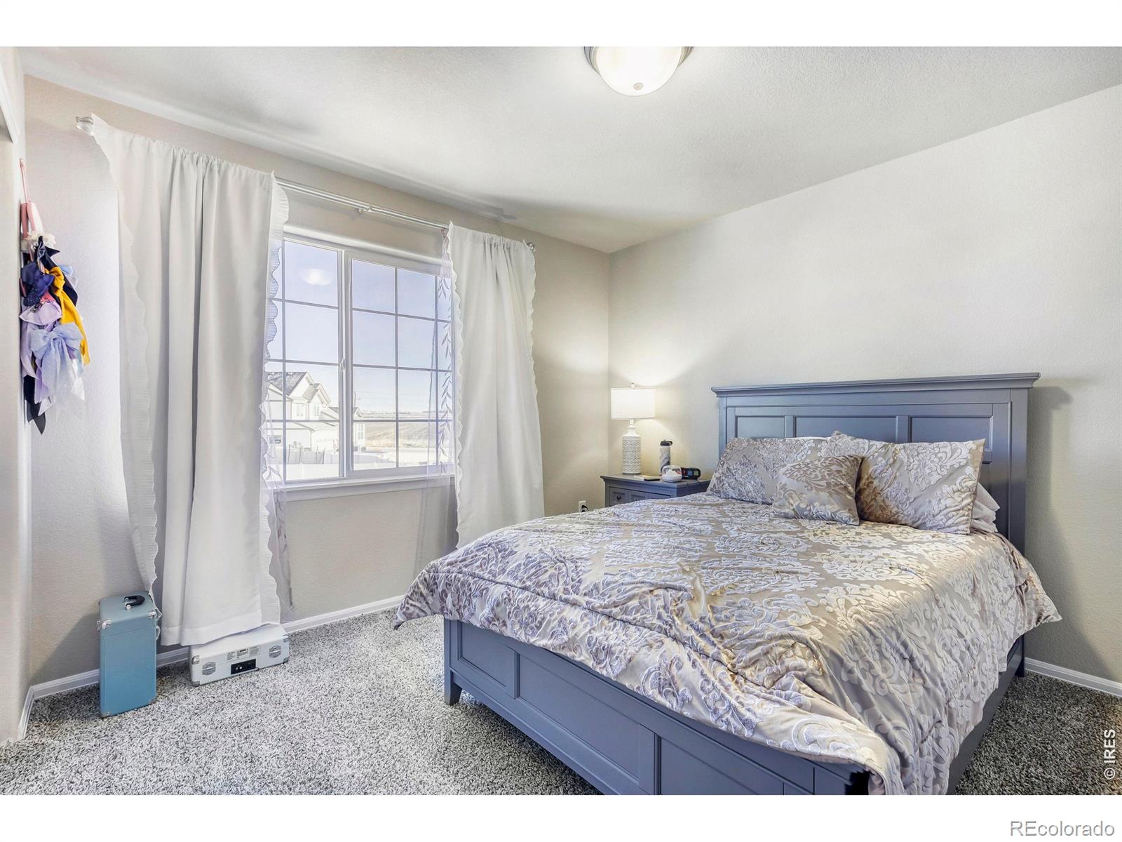 MLS Image #20 for 368  littlebrook court,windsor, Colorado