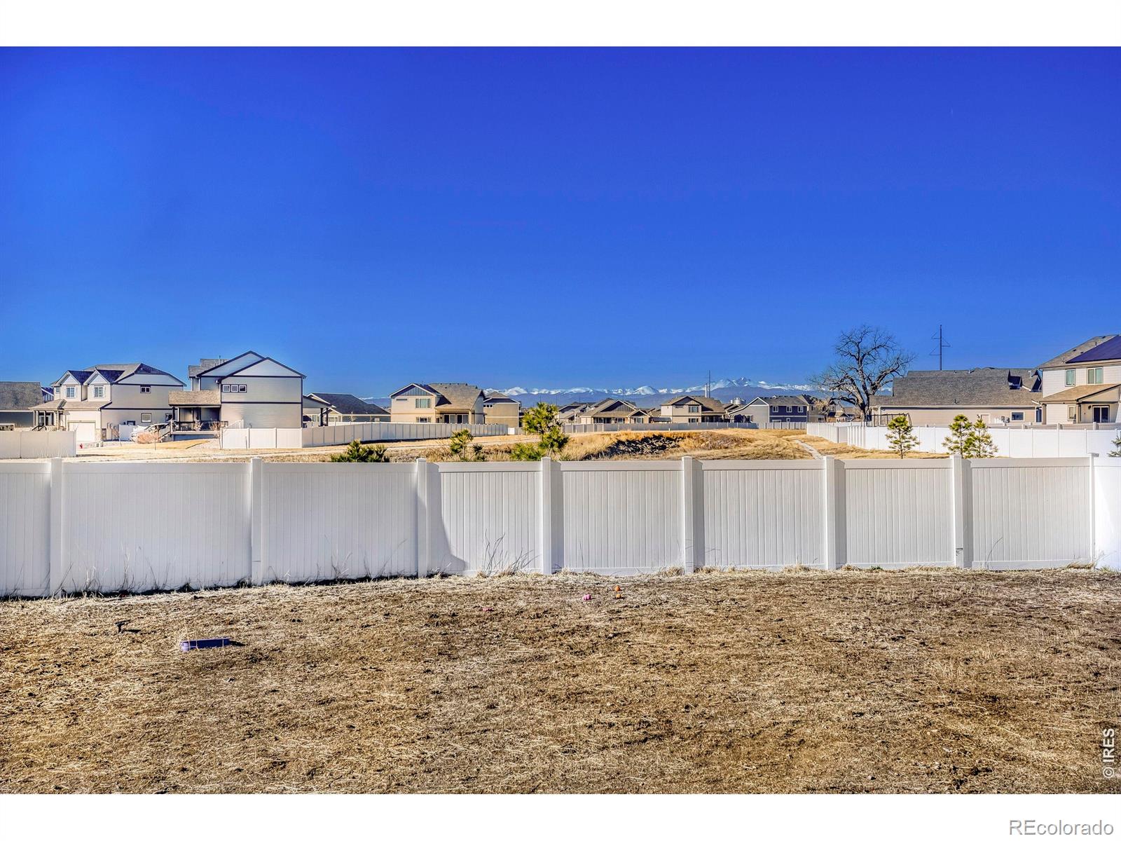 MLS Image #24 for 368  littlebrook court,windsor, Colorado