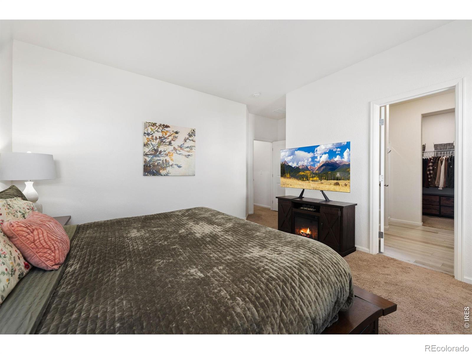 MLS Image #18 for 1078  long meadows street,severance, Colorado