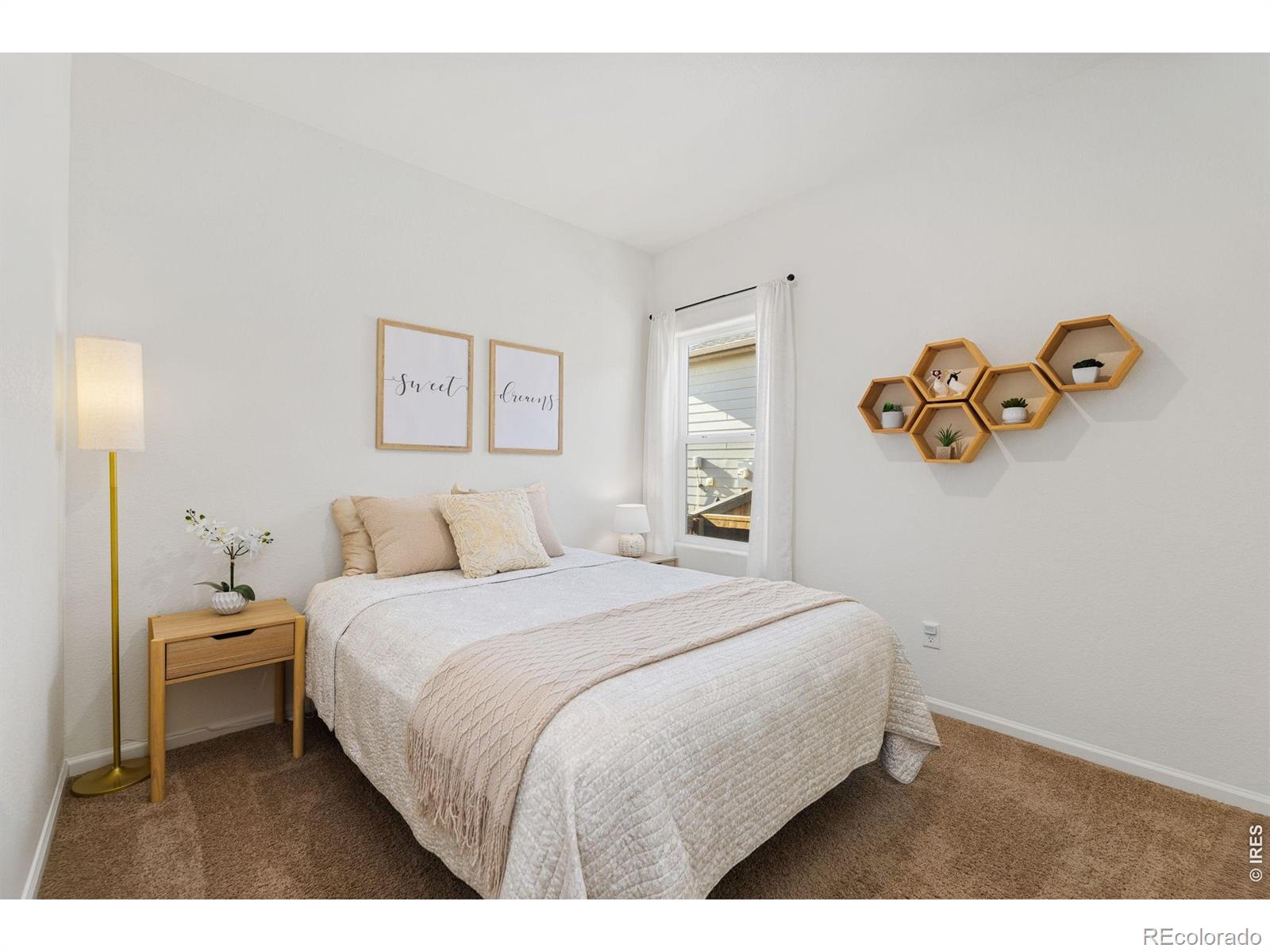 MLS Image #22 for 1078  long meadows street,severance, Colorado