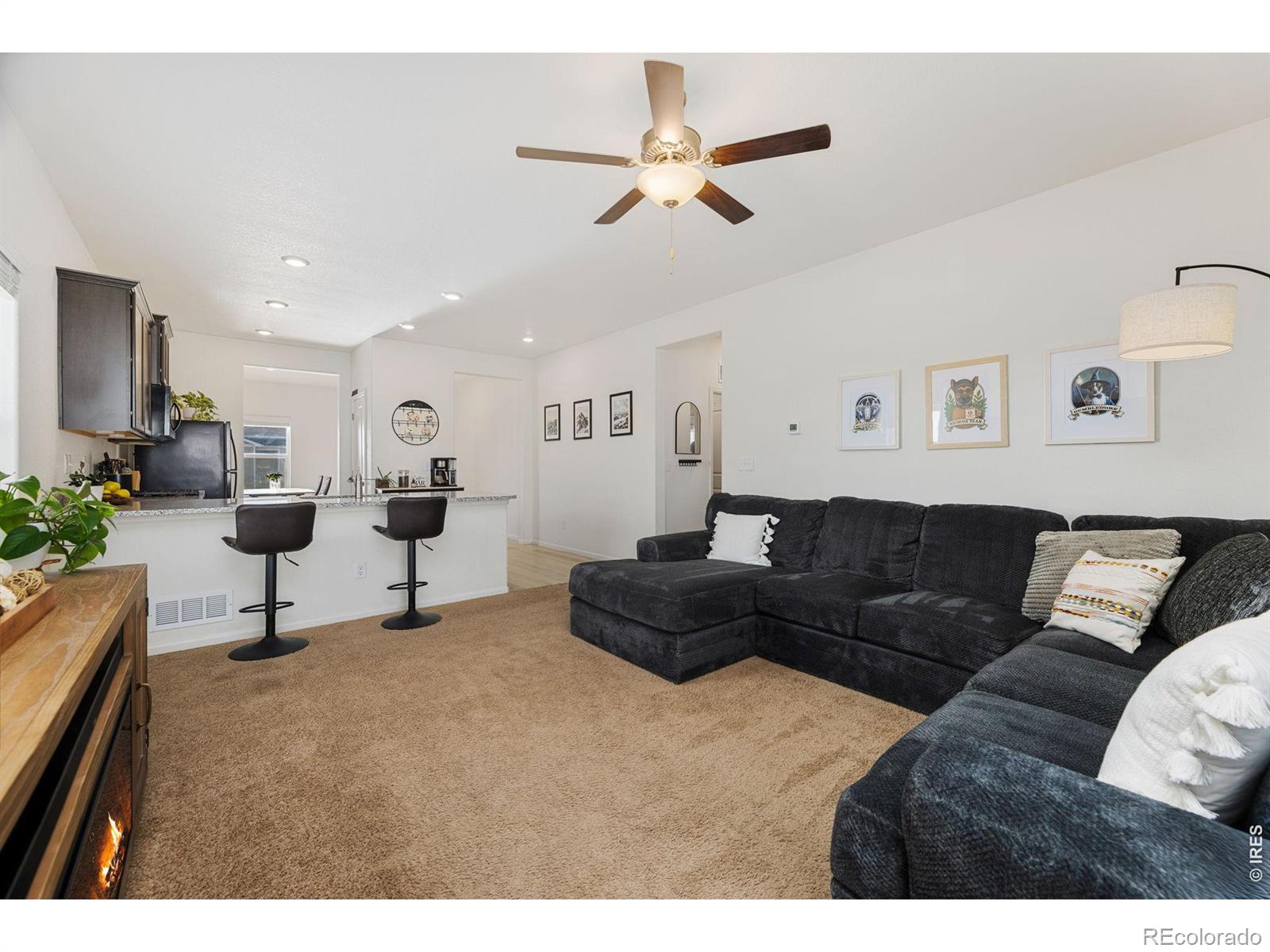 MLS Image #4 for 1078  long meadows street,severance, Colorado