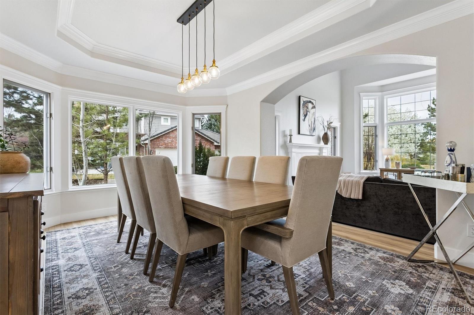 MLS Image #9 for 5400  preserve parkway,greenwood village, Colorado