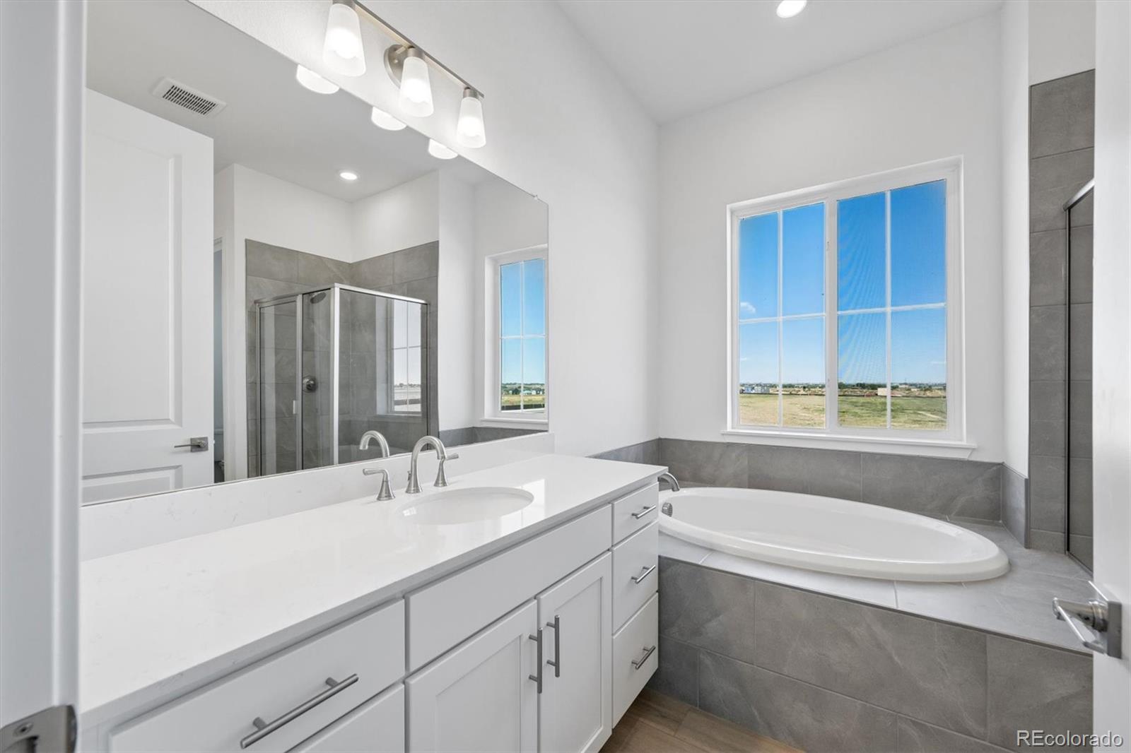 MLS Image #12 for 5509  green thumb avenue,firestone, Colorado