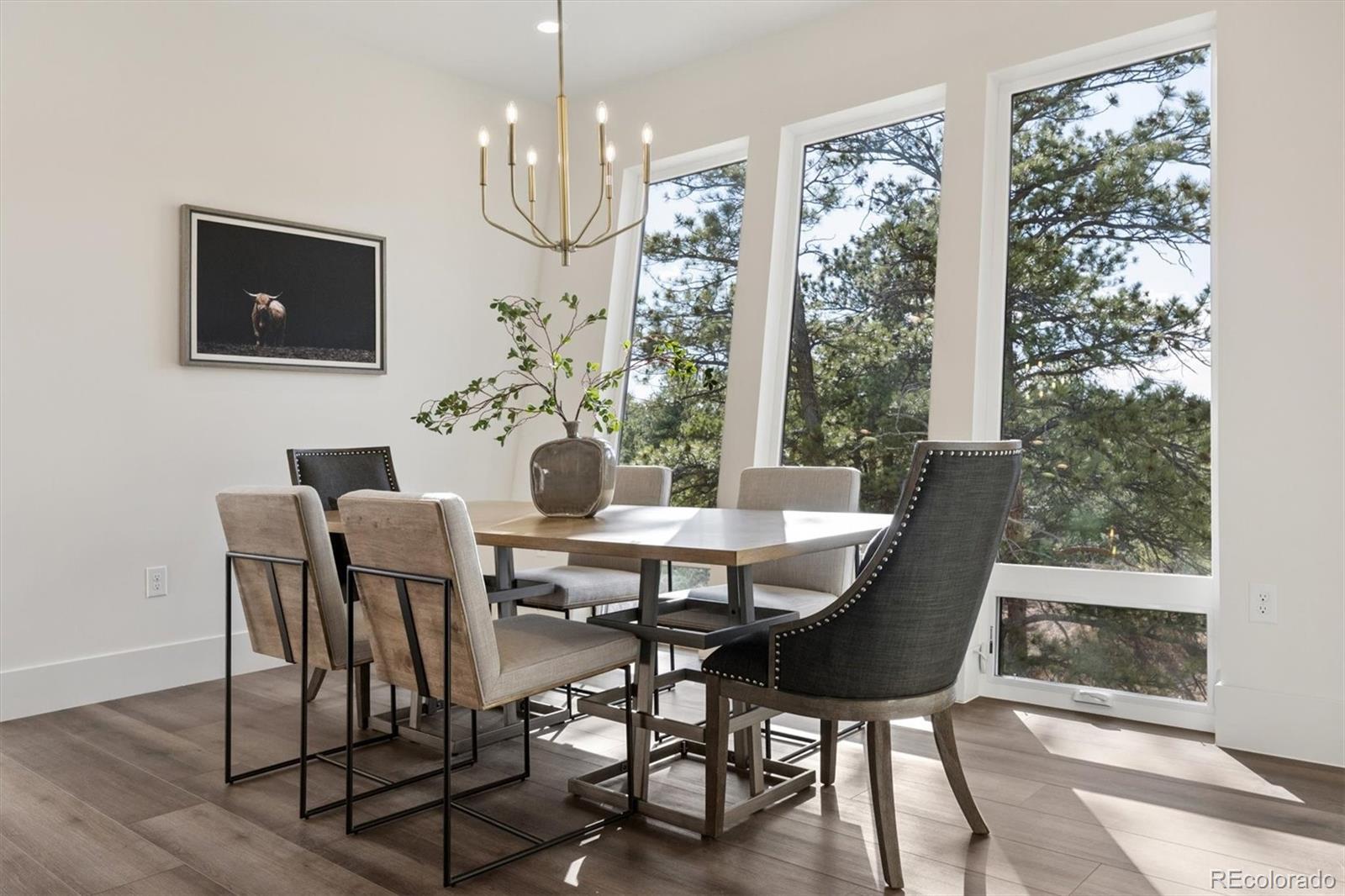 MLS Image #14 for 11004  sunset oaks place,franktown, Colorado