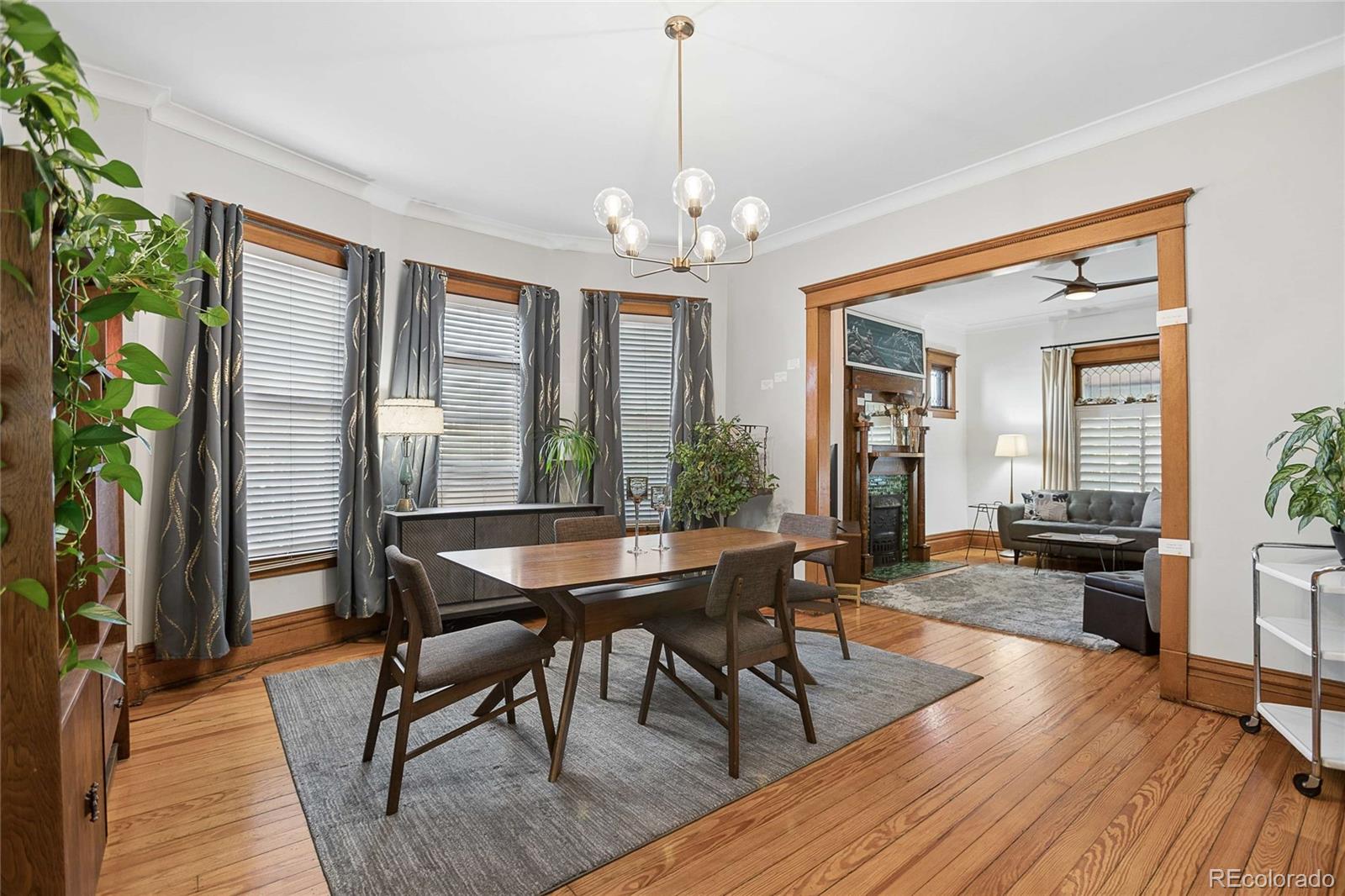 MLS Image #3 for 33 w byers place,denver, Colorado