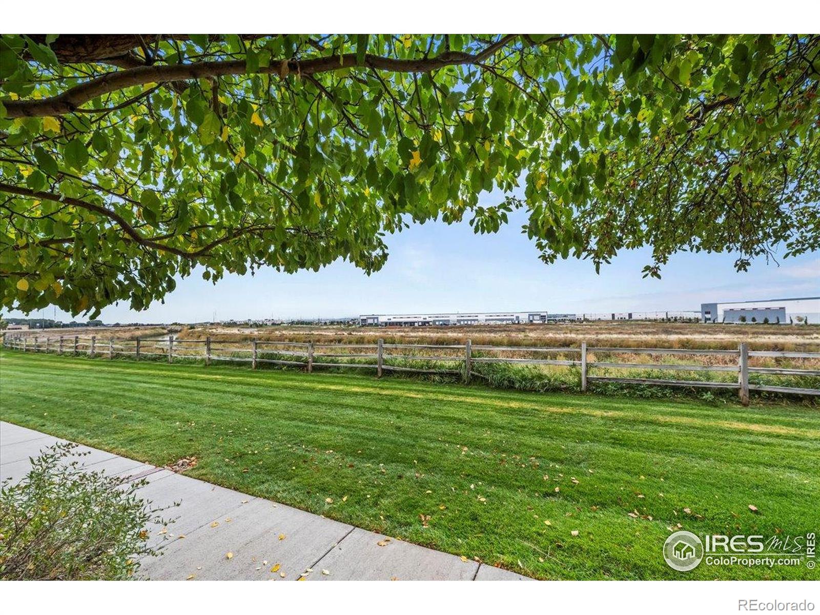 MLS Image #7 for 10449  paris street,commerce city, Colorado
