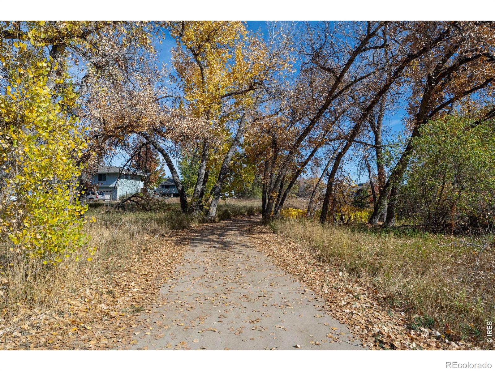 MLS Image #38 for 1111  elysian field drive,lafayette, Colorado