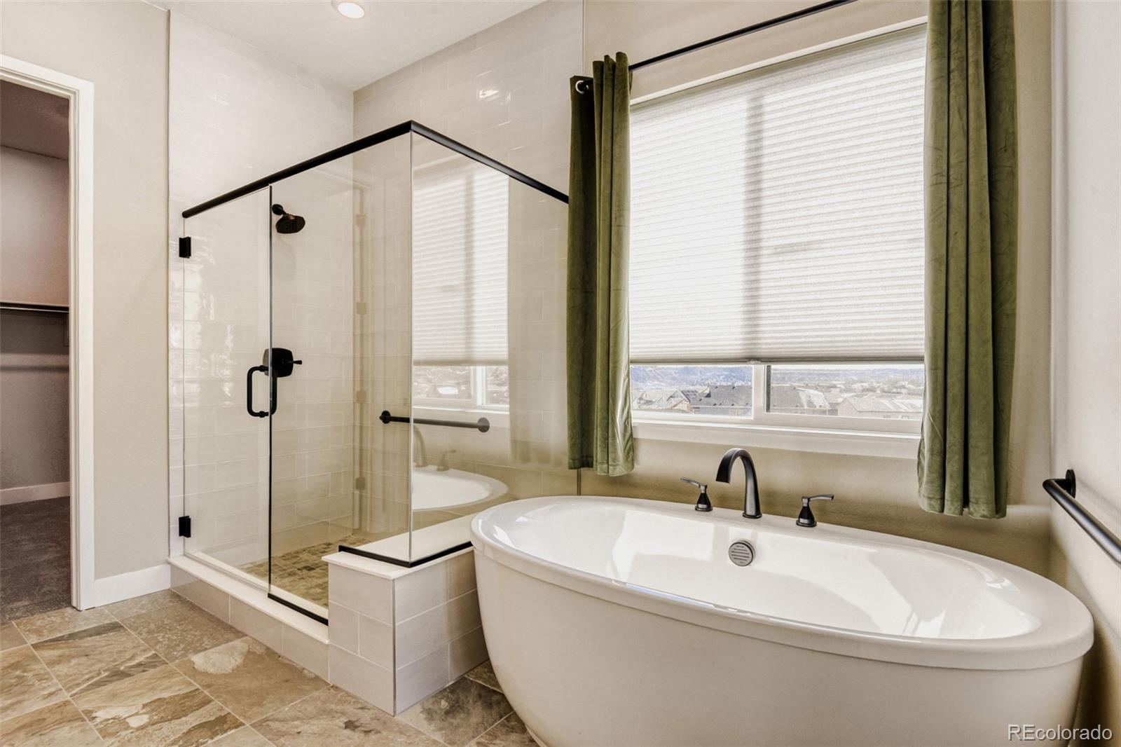 MLS Image #11 for 1877  grayside circle,castle rock, Colorado
