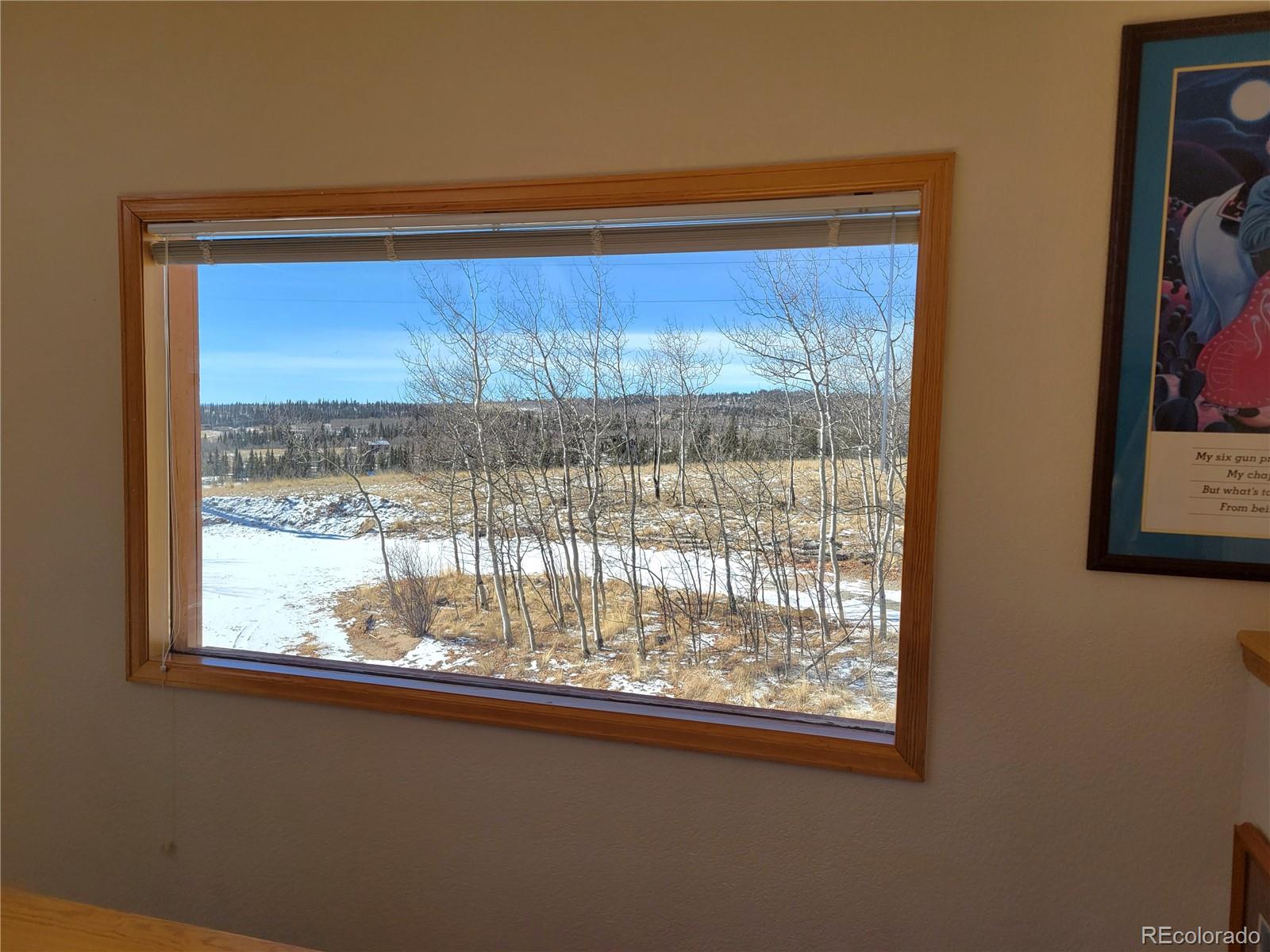 MLS Image #11 for 1210  kiowa street,como, Colorado