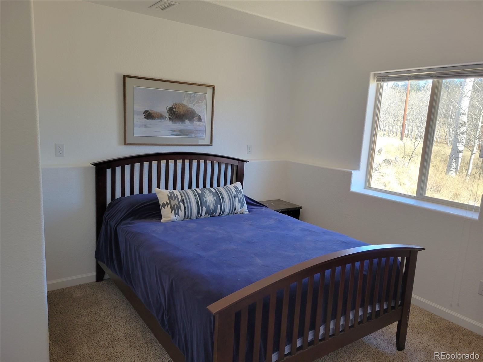 MLS Image #16 for 1210  kiowa street,como, Colorado