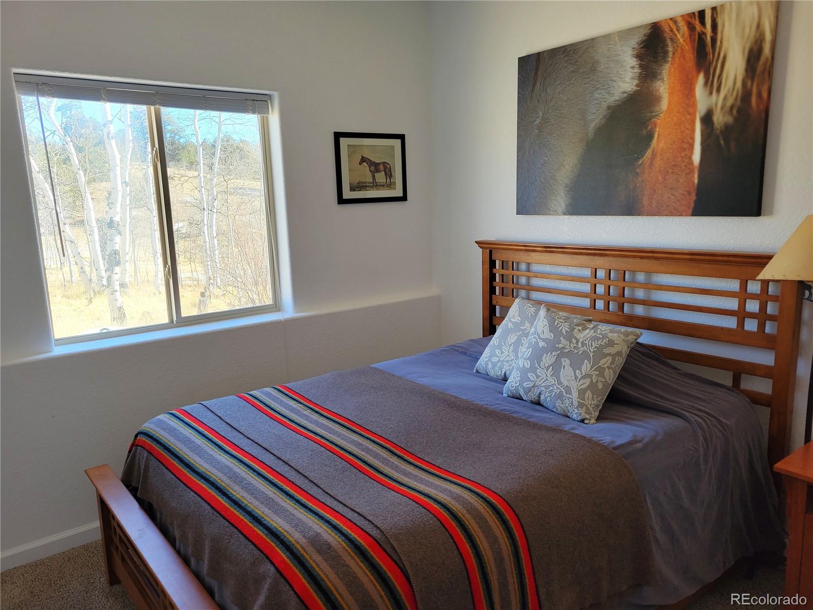 MLS Image #17 for 1210  kiowa street,como, Colorado