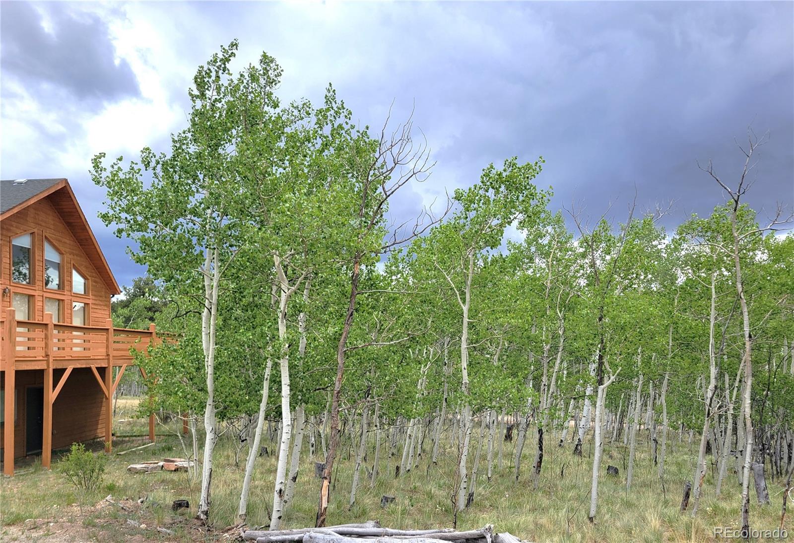 MLS Image #27 for 1210  kiowa street,como, Colorado