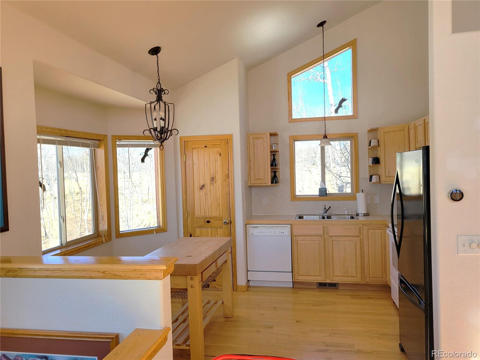 MLS Image #5 for 1210  kiowa street,como, Colorado