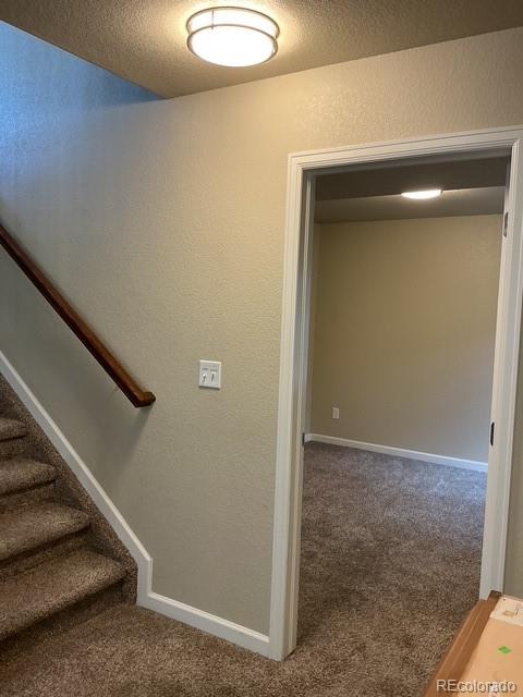 MLS Image #24 for 8127  mockorange heights,colorado springs, Colorado
