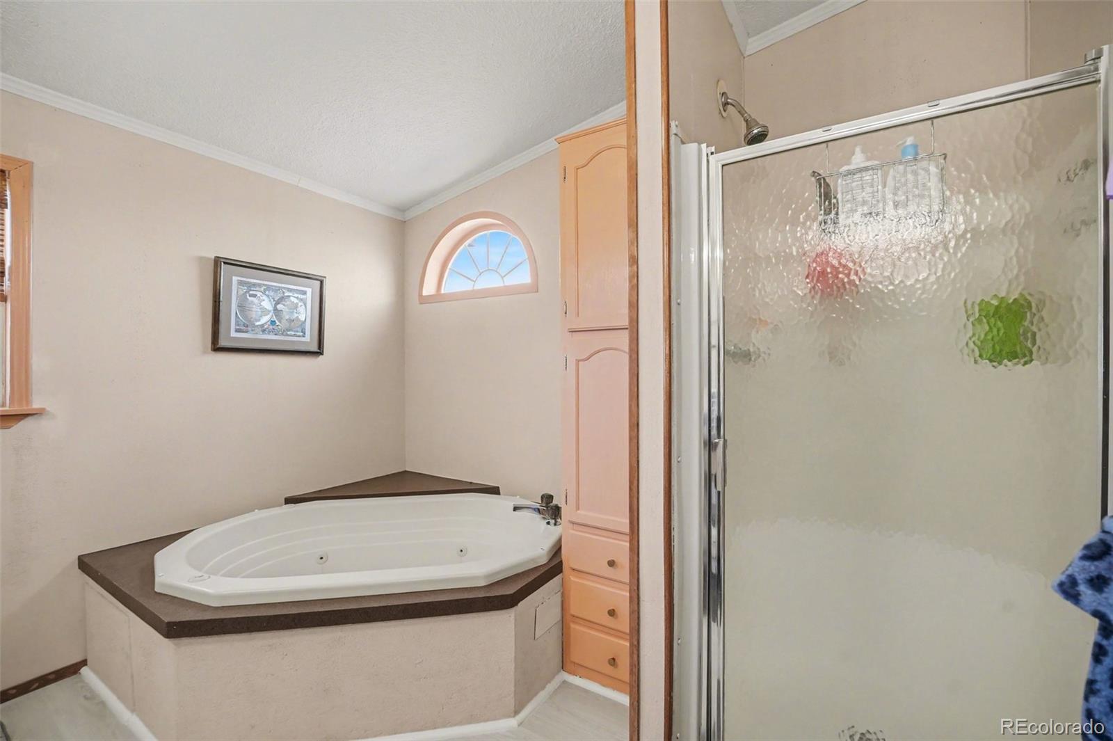 MLS Image #11 for 15665  havana way,brighton, Colorado