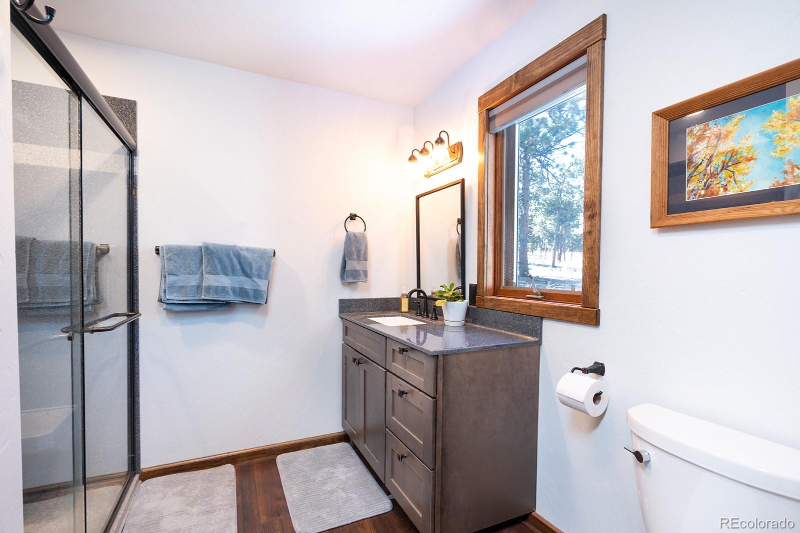 MLS Image #17 for 16670  mt princeton road,buena vista, Colorado