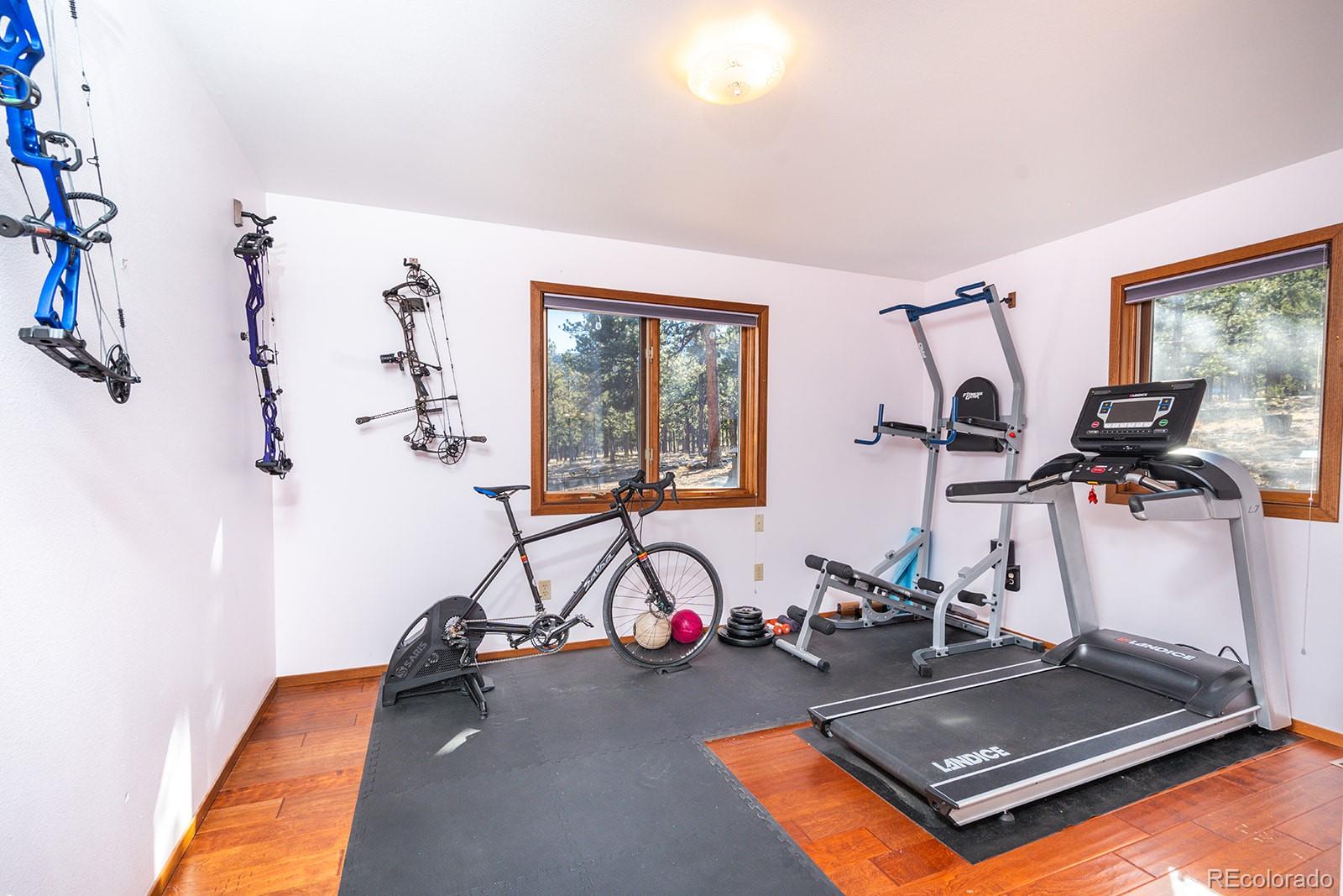 MLS Image #19 for 16670  mt princeton road,buena vista, Colorado