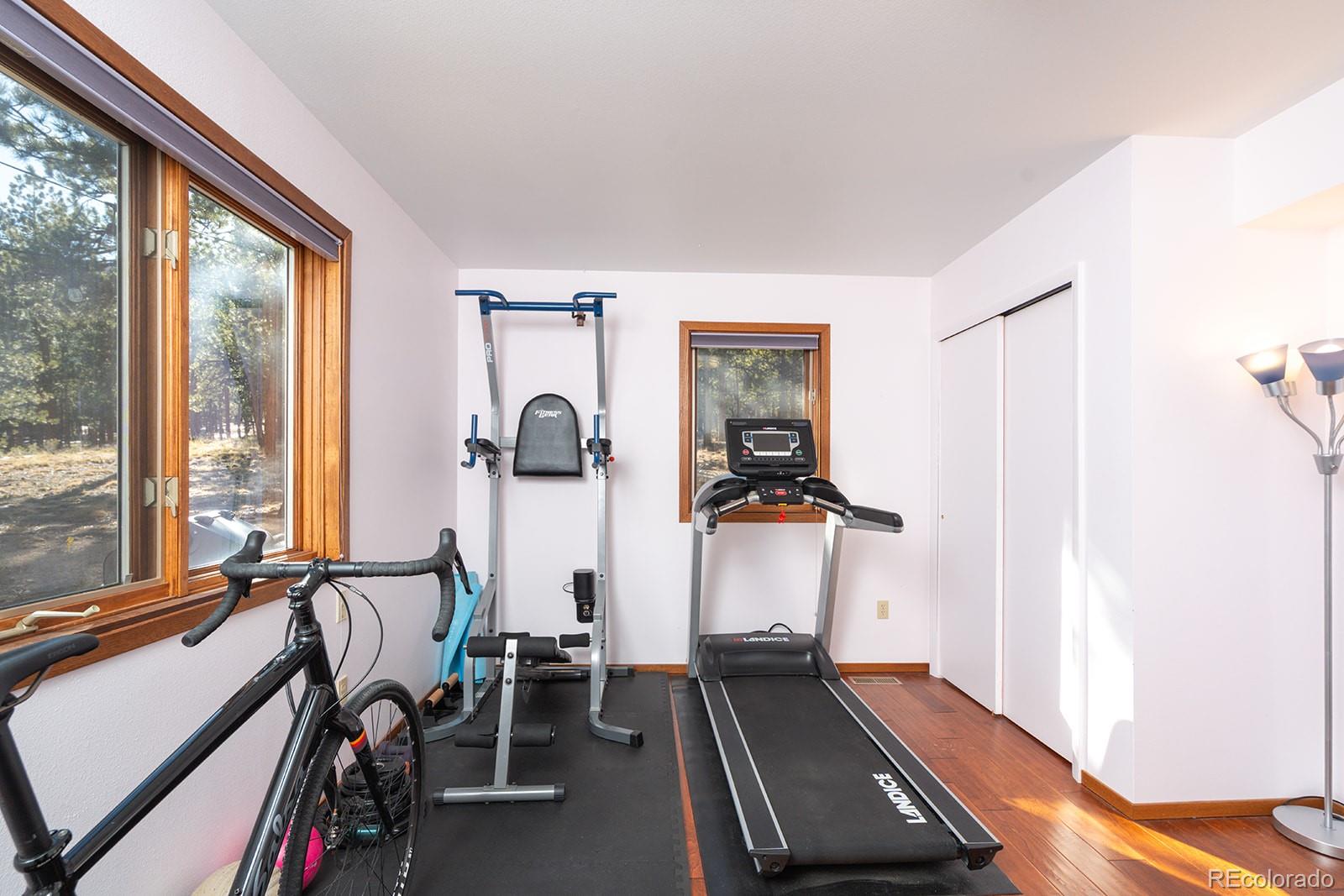 MLS Image #20 for 16670  mt princeton road,buena vista, Colorado