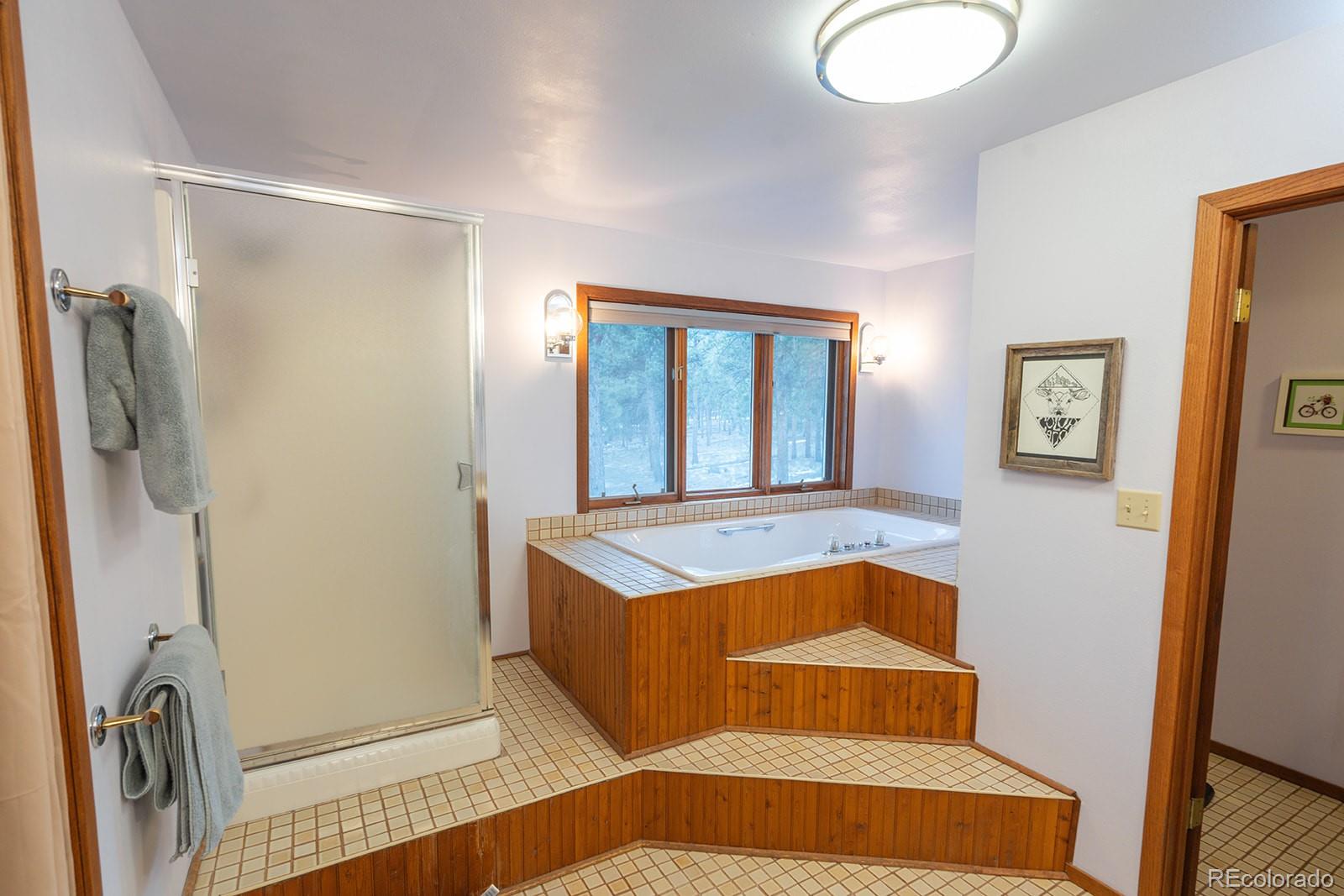 MLS Image #36 for 16670  mt princeton road,buena vista, Colorado