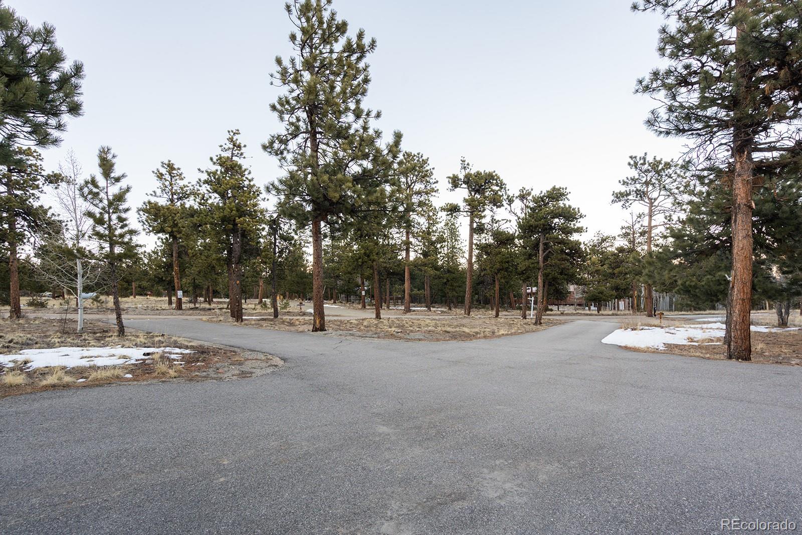MLS Image #42 for 16670  mt princeton road,buena vista, Colorado