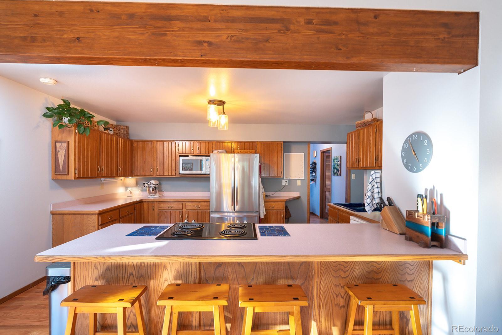 MLS Image #5 for 16670  mt princeton road,buena vista, Colorado