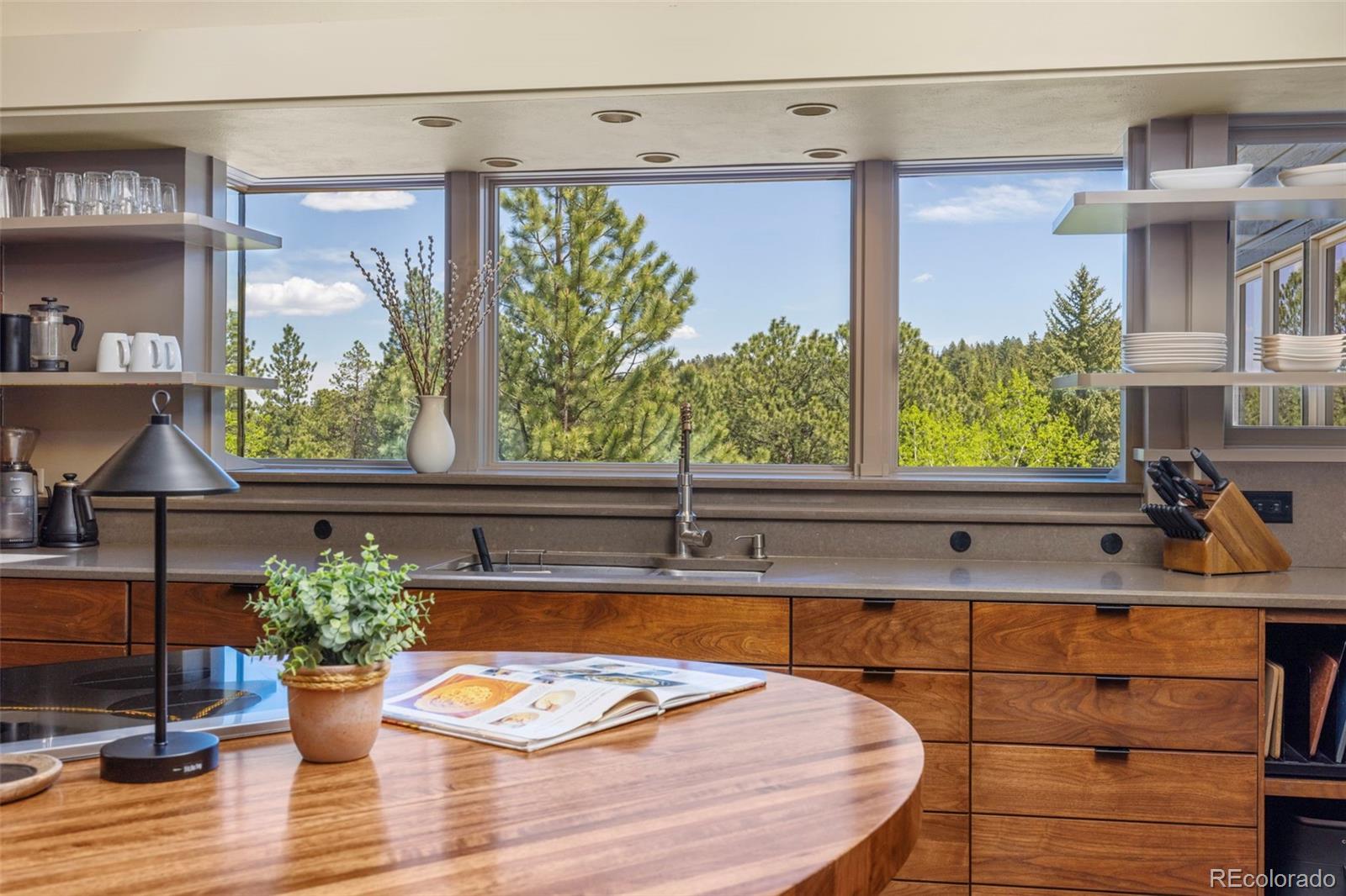MLS Image #10 for 1323 s snyder gulch road,evergreen, Colorado