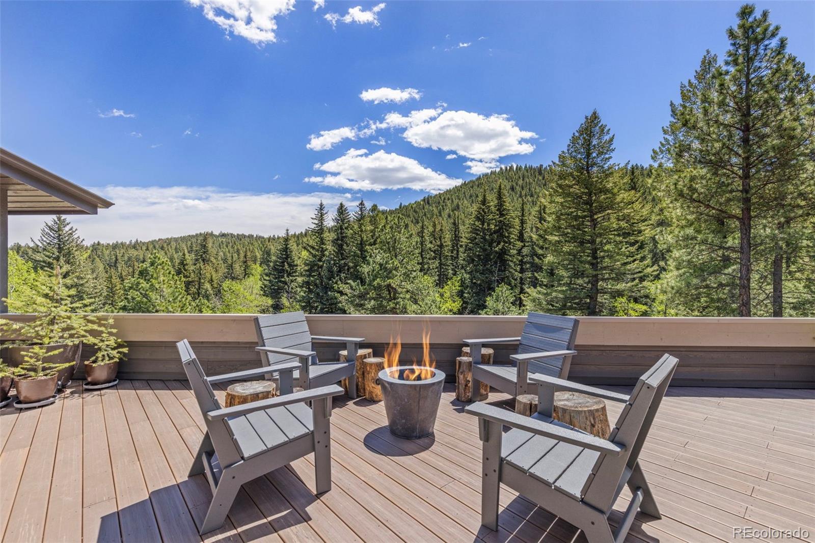 MLS Image #8 for 1323 s snyder gulch road,evergreen, Colorado