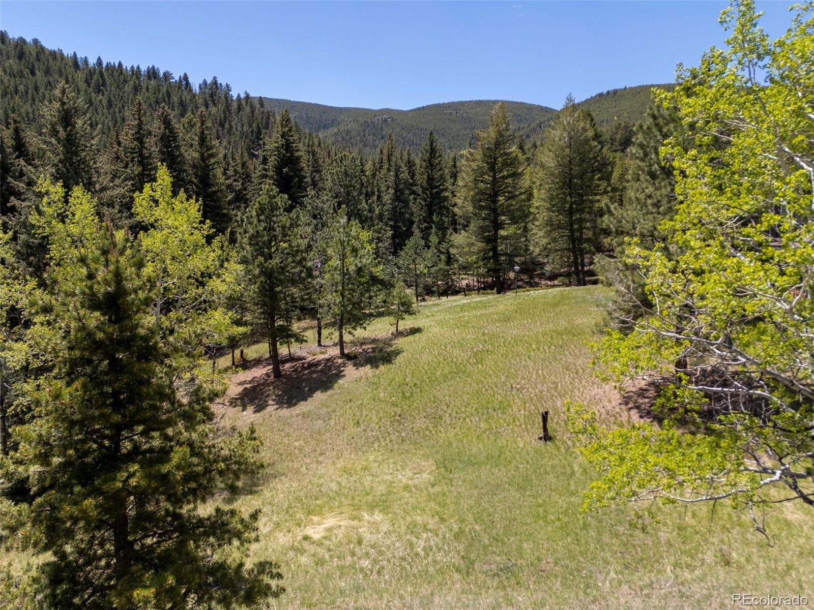 MLS Image #9 for 1323 s snyder gulch road,evergreen, Colorado