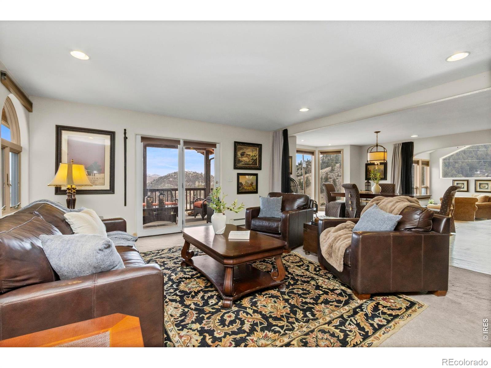 MLS Image #11 for 90  mount axtell drive,livermore, Colorado