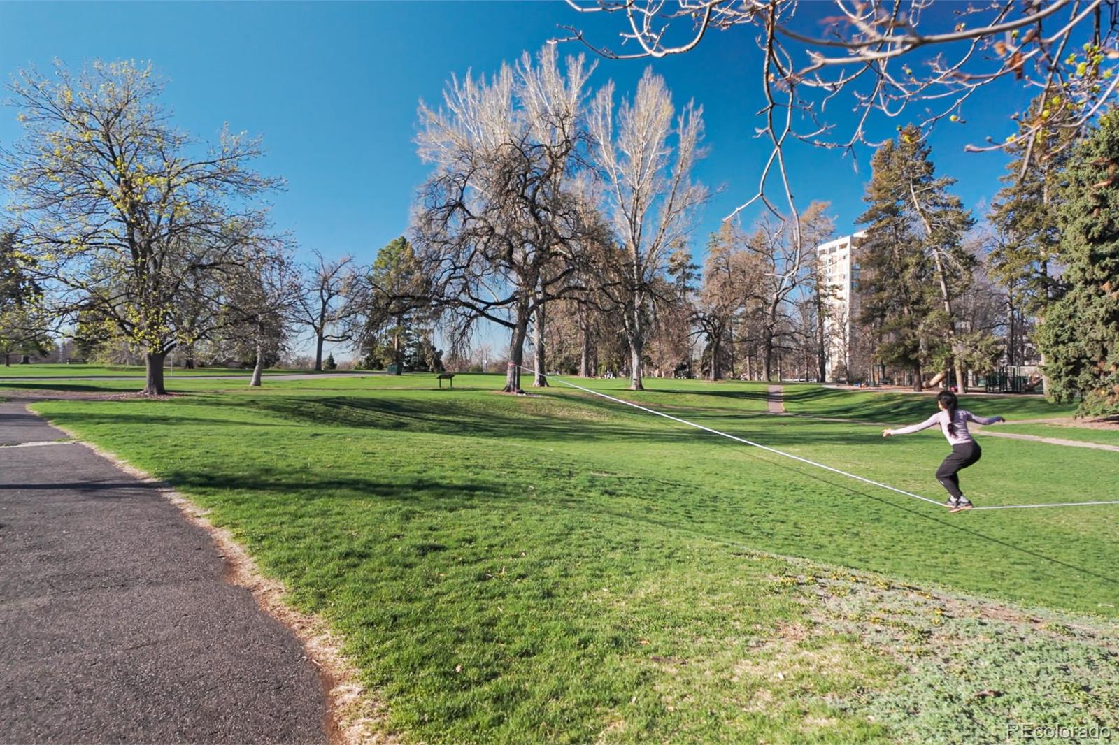 MLS Image #41 for 1410  vine street 3,denver, Colorado