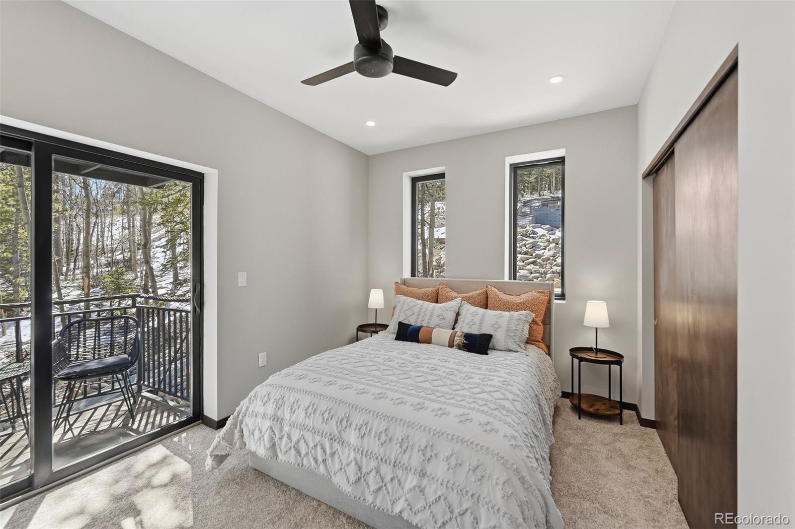 MLS Image #10 for 410 n aspen street,alma, Colorado