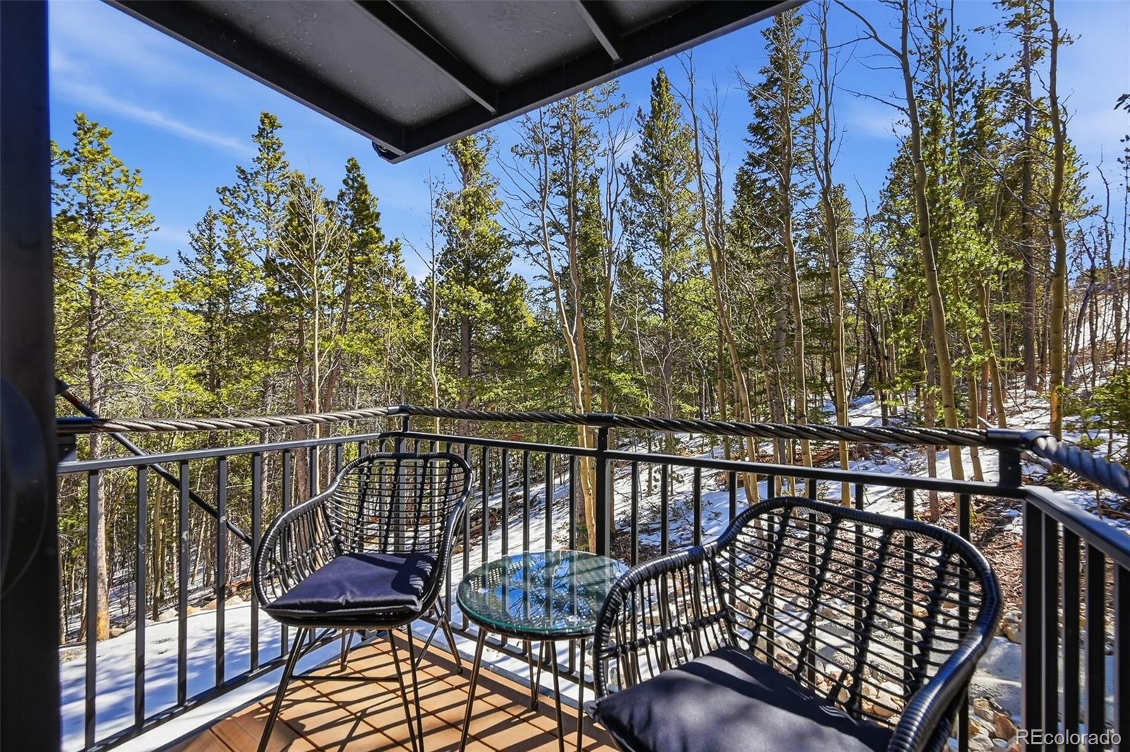 MLS Image #11 for 410 n aspen street,alma, Colorado
