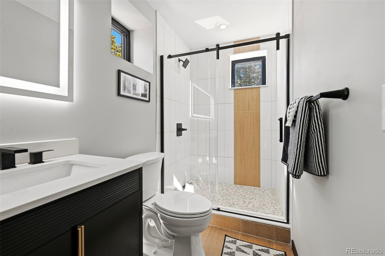 MLS Image #15 for 410 n aspen street,alma, Colorado