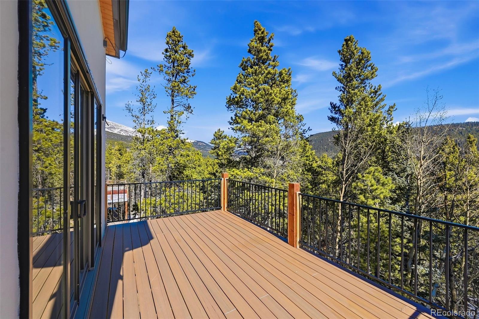 MLS Image #4 for 410 n aspen street,alma, Colorado