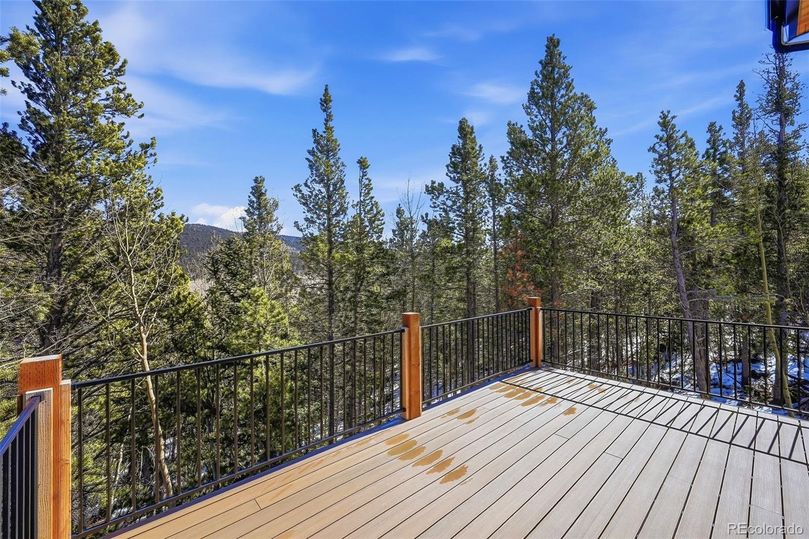 MLS Image #5 for 410 n aspen street,alma, Colorado