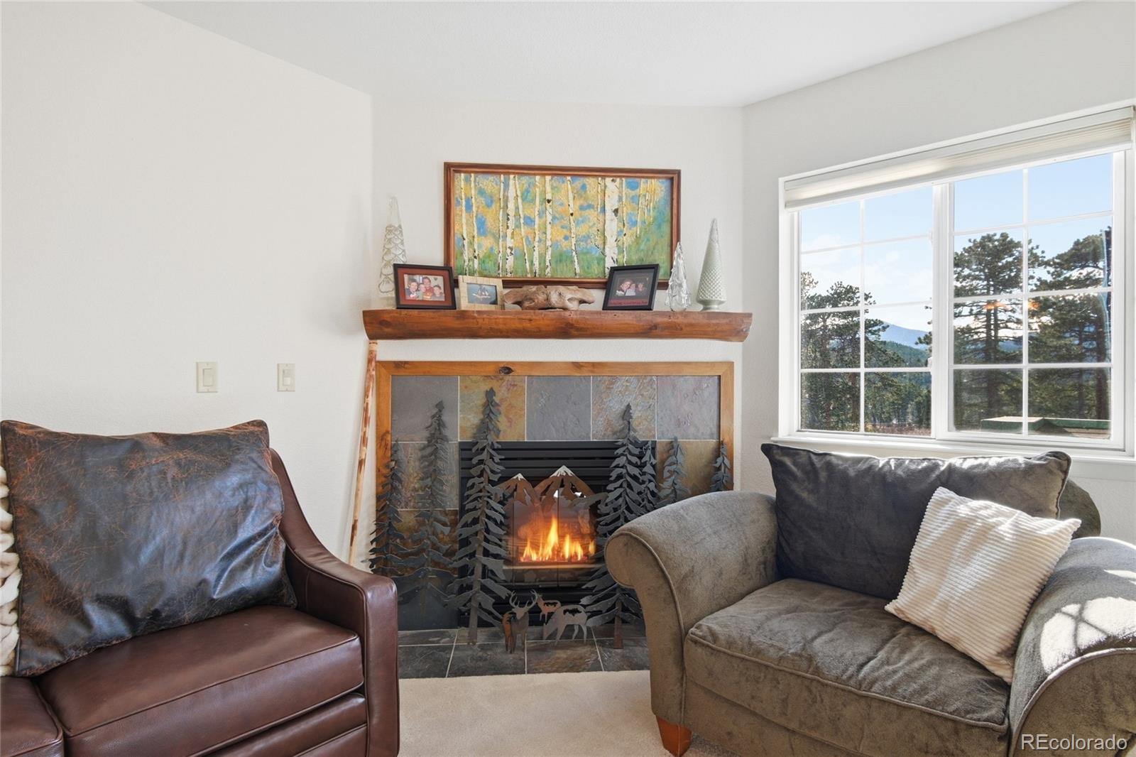 MLS Image #11 for 31819  rocky village drive,evergreen, Colorado