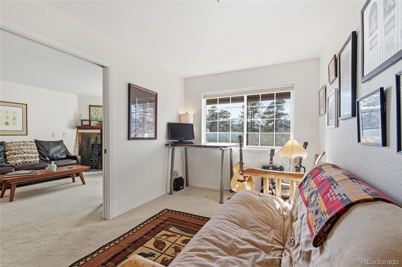 MLS Image #14 for 31819  rocky village drive,evergreen, Colorado