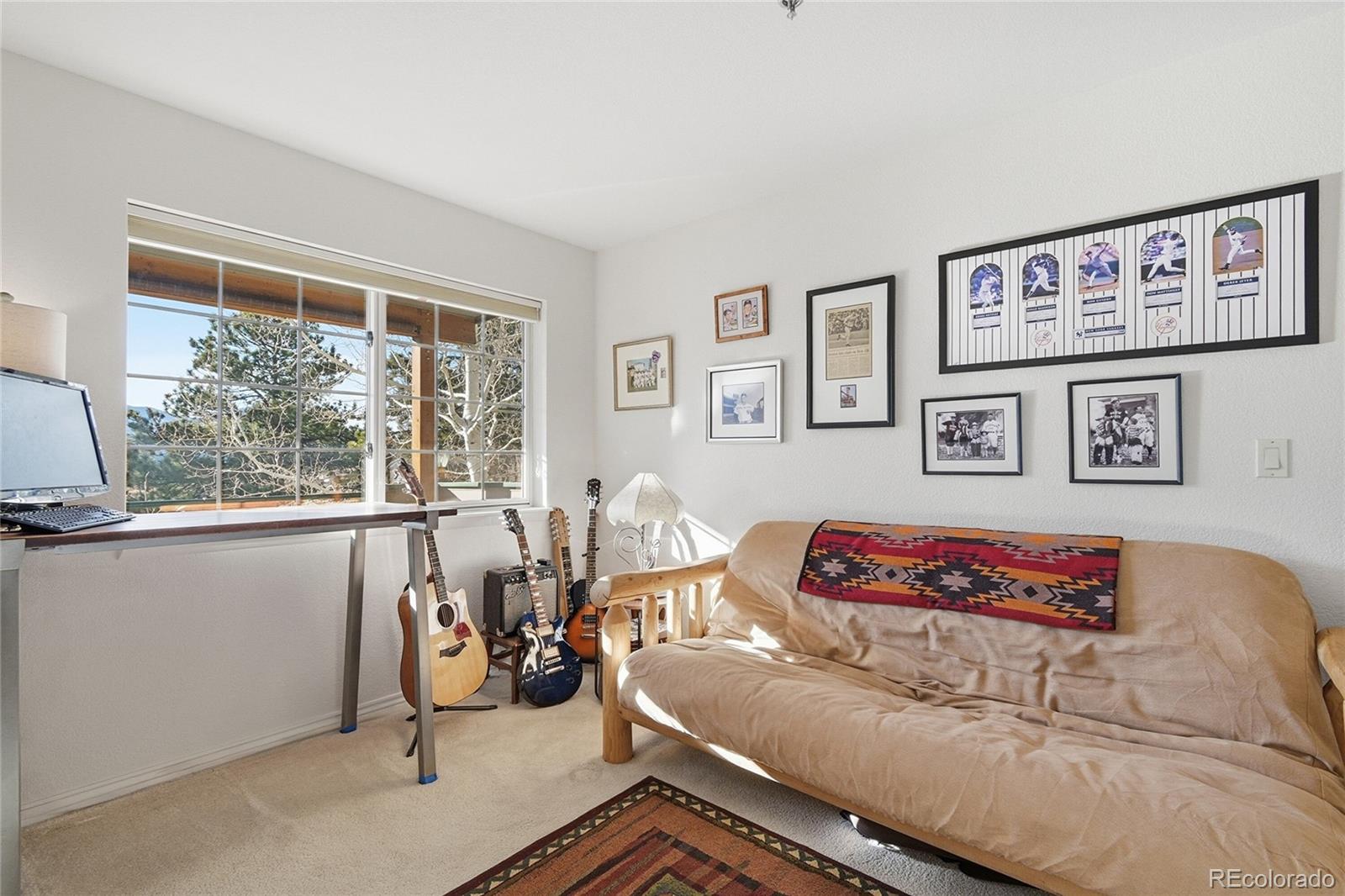 MLS Image #15 for 31819  rocky village drive,evergreen, Colorado