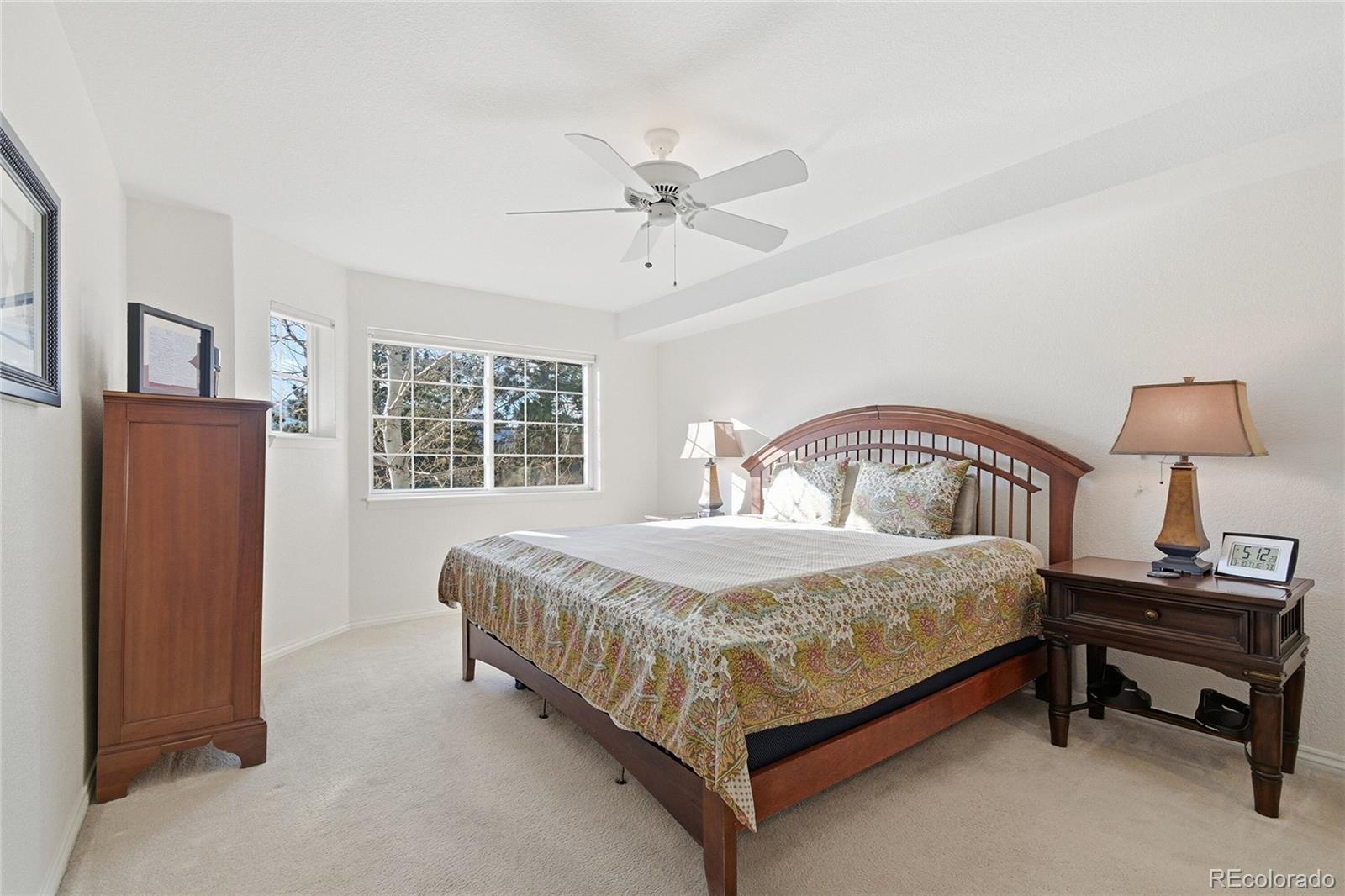 MLS Image #18 for 31819  rocky village drive,evergreen, Colorado