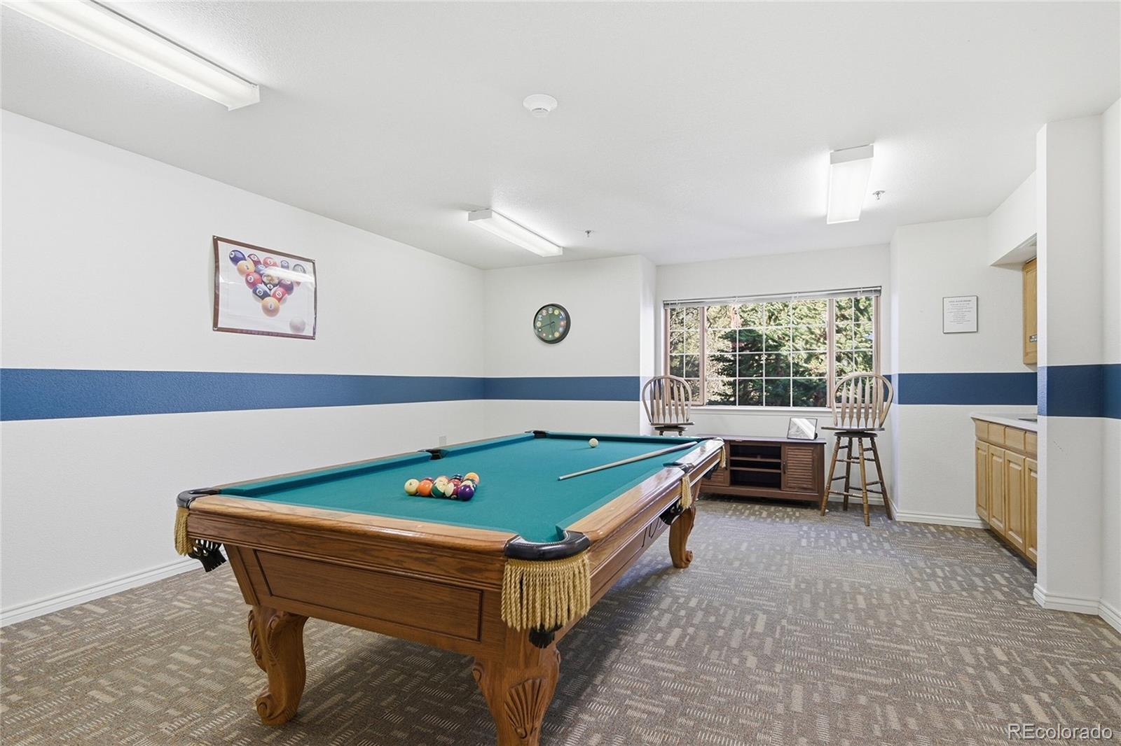 MLS Image #25 for 31819  rocky village drive,evergreen, Colorado