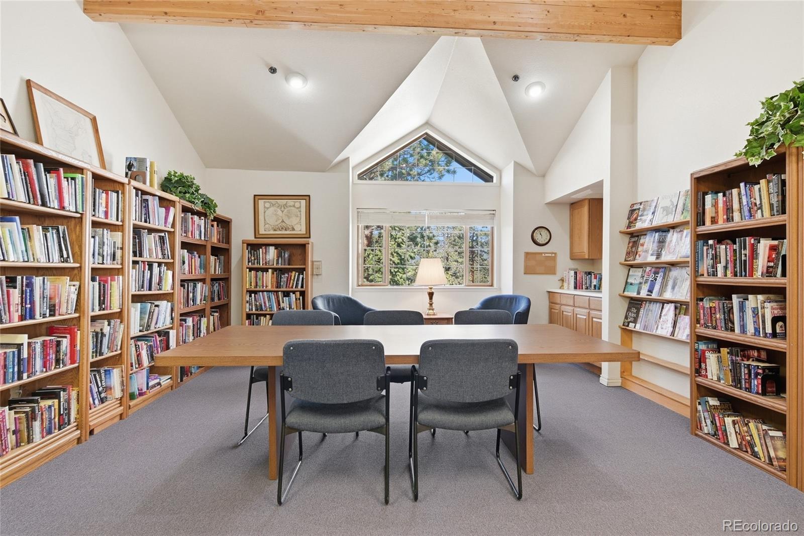 MLS Image #26 for 31819  rocky village drive,evergreen, Colorado