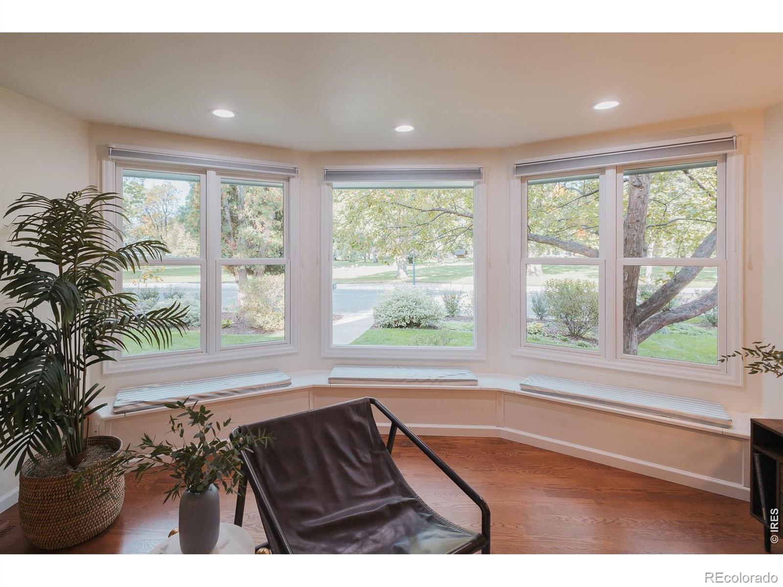 MLS Image #5 for 100  grandview avenue,fort collins, Colorado