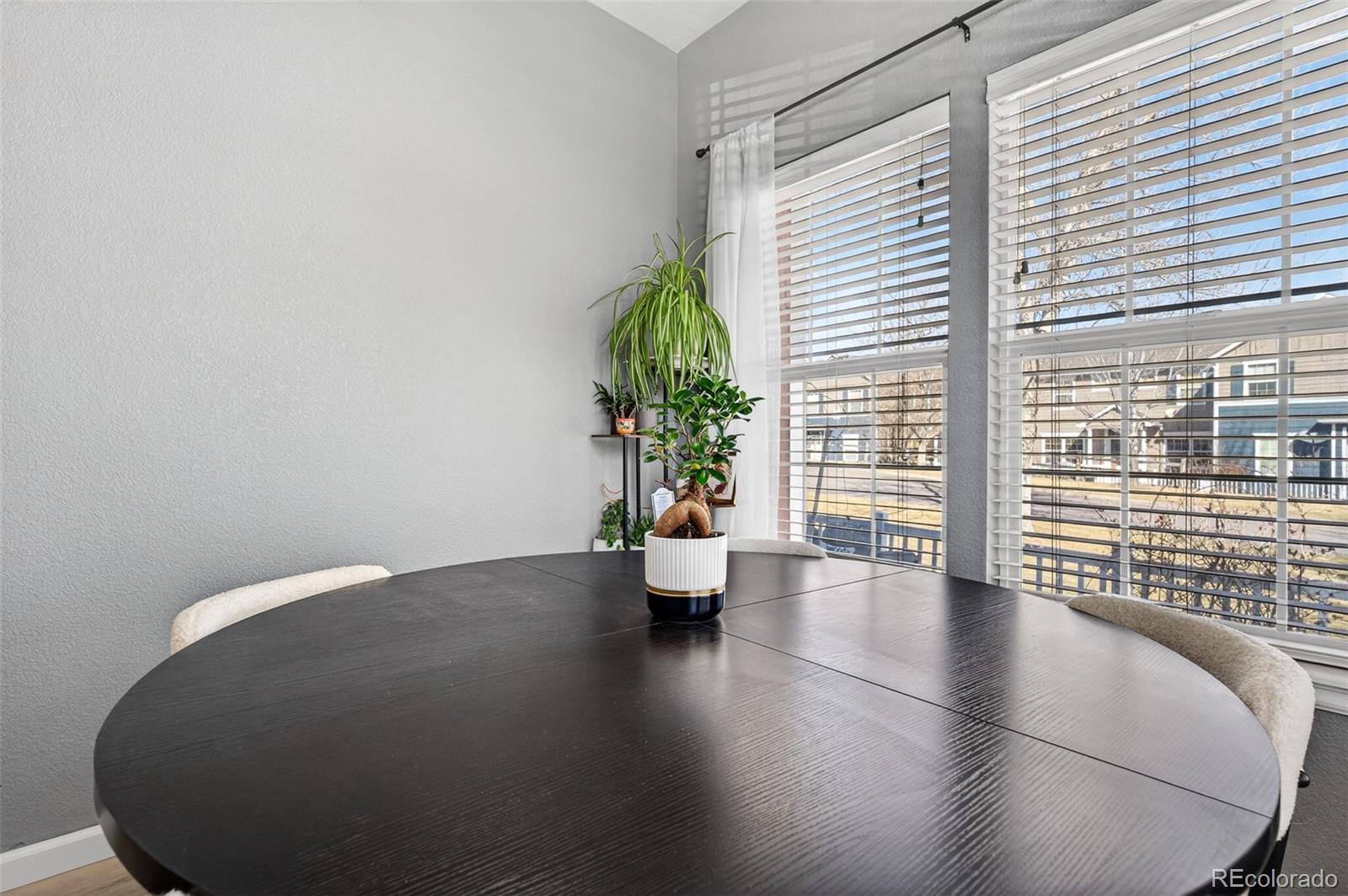 MLS Image #18 for 1509  gold hill street,castle rock, Colorado
